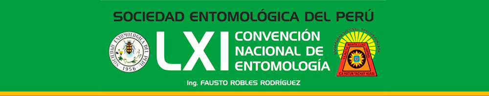 banner-convencion-ica-2019 banner-convencion-ica-2019